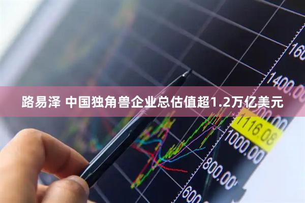 路易泽 中国独角兽企业总估值超1.2万亿美元